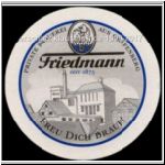 friedmann (11).jpg